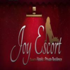 Joy Escort Zürich logo